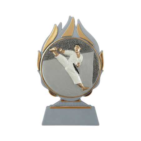 cod. 17.239 - Trofeo karate cm 14
