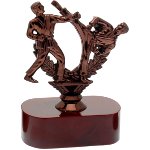 cod. 17.240 - Trofeo karate cm 15