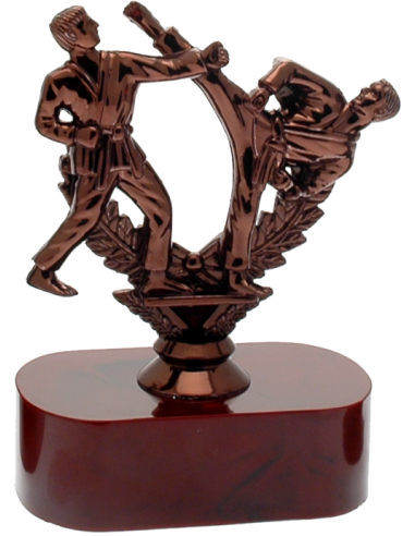 cod. 17.240 - Trofeo karate cm 15