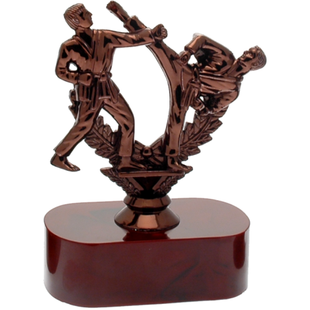 cod. 17.240 - Trofeo karate cm 15