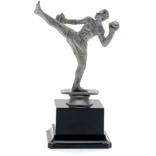 cod. 17.241A - Trofeo kick boxing cm 19