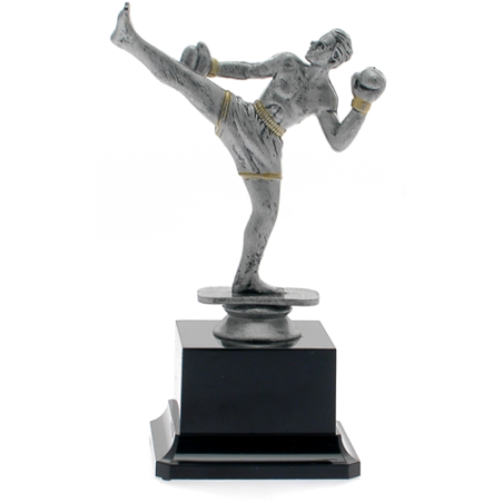 cod. 17.241A - Trofeo kick boxing cm 19