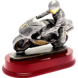 cod. 17.318 - Trofeo moto cm 18x21