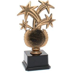 cod. 17.343 - Trofeo stelle cm 19