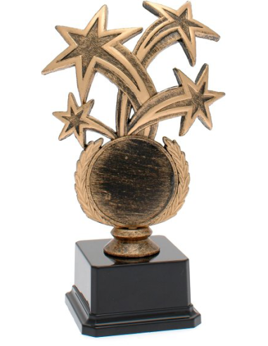 cod. 17.343 - Trofeo stelle cm 19