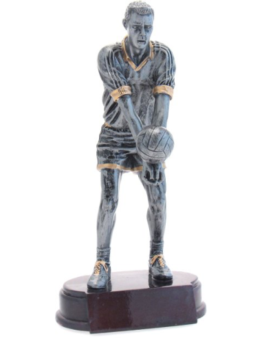 cod. 18.355 - Trofeo volley m. cm 23