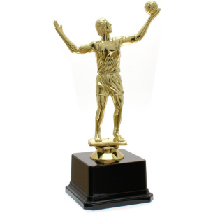 cod. 18.357 - Trofeo volley cm 20