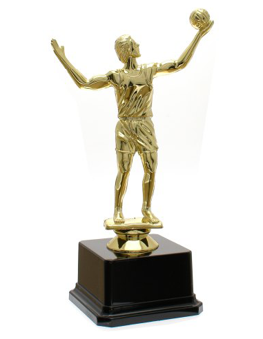 cod. 18.357 - Trofeo volley cm 20