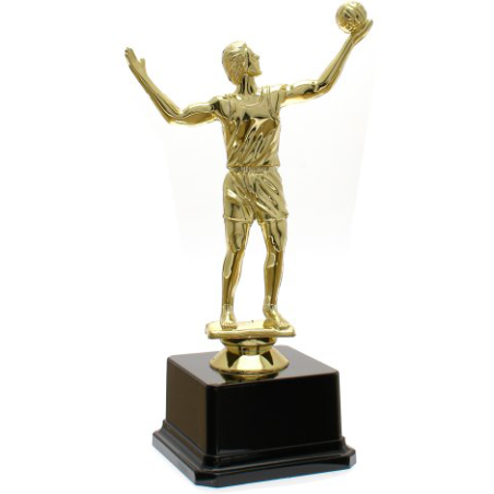 cod. 18.357 - Trofeo volley cm 20