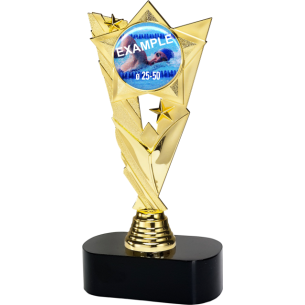 cod. 18.388B - Trofeo cm 22
