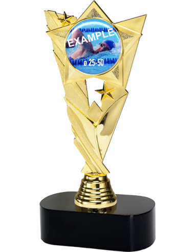 cod. 18.388B - Trofeo cm 22