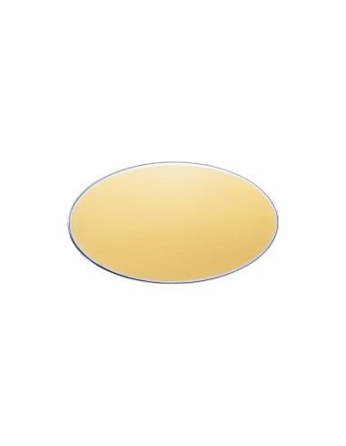 cod. 24.305 - Targa alluminio oro 13x7
