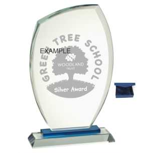 cod. 25.681 - Trofeo cristallo cm 25x15