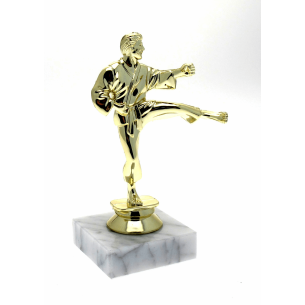 cod. P.AR01 - Trofeo Karate cm  15