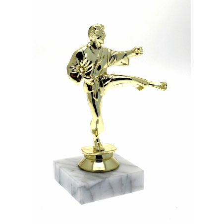 cod. P.AR01 - Trofeo Karate cm  15