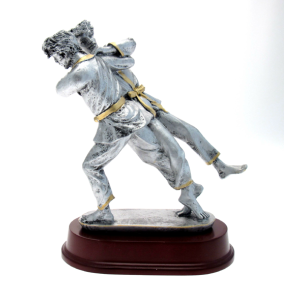 cod. P.AR02 - Trofeo Judo cm  24
