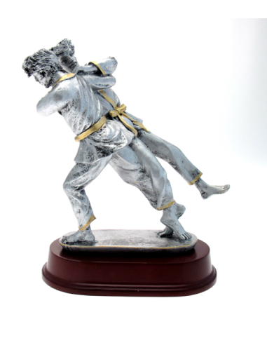 cod. P.AR02 - Trofeo Judo cm  24
