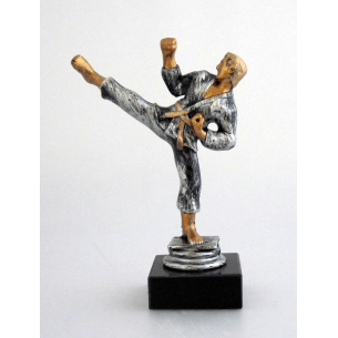 cod. P.AR03 - Trofeo Karate cm 15