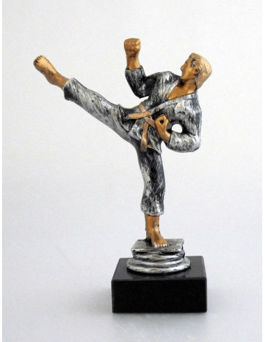 cod. P.AR03 - Trofeo Karate cm 15
