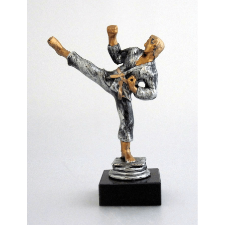 cod. P.AR03 - Trofeo Karate cm 15