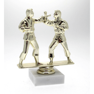 cod. P.AR06 - Trofeo Karate cm 15