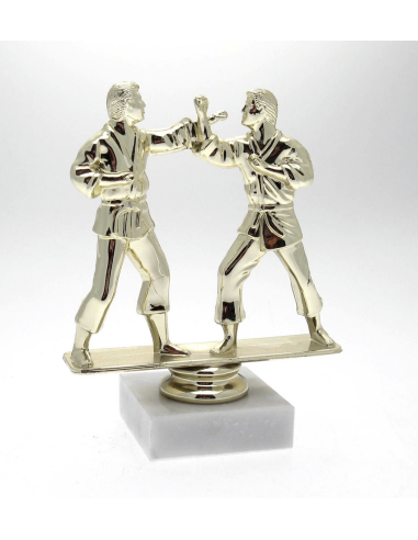 cod. P.AR06 - Trofeo Karate cm 15
