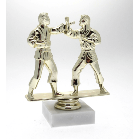 cod. P.AR06 - Trofeo Karate cm 15