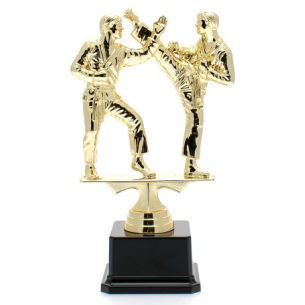 cod. P.AR09 - Trofeo Karate cm 21