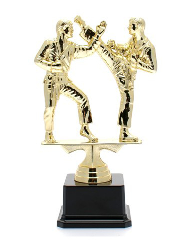 cod. P.AR09 - Trofeo Karate cm 21