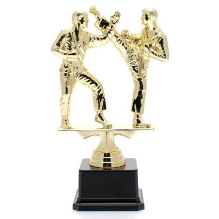 cod. P.AR09 - Trofeo Karate cm 21