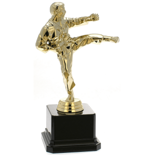 cod. P.AR10 - Trofeo Karate cm 20
