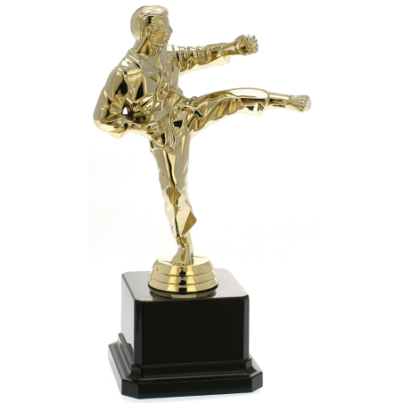 cod. P.AR10 - Trofeo Karate cm 20