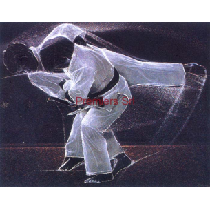 cod. P.AR12 - Cornice con Poster Judo 24x18