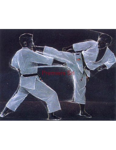 cod. P.AR13 - Cornice con Poster Karate 24x18