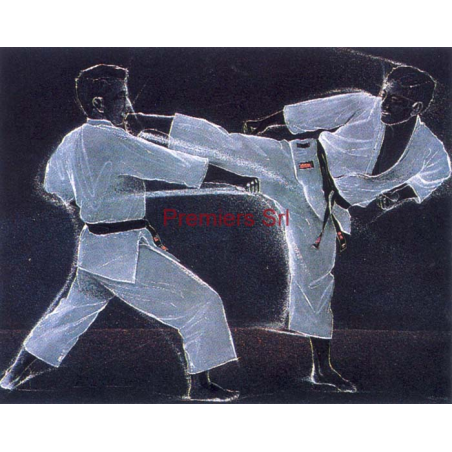 cod. P.AR13 - Cornice con Poster Karate 24x18