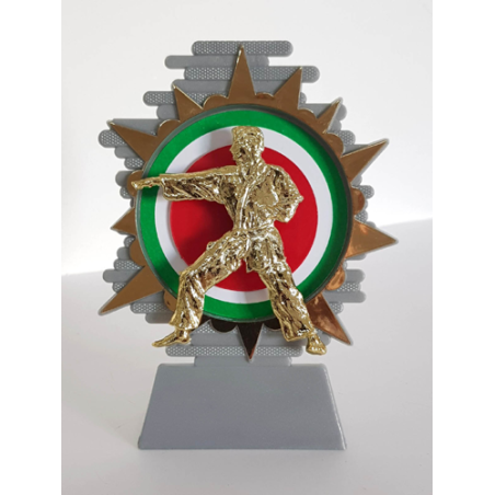 cod. P.AR14 - Trofeo Karate cm 14