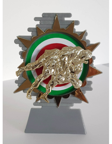 cod. P.AR15 - Trofeo Judo cm 14