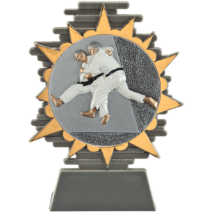 cod. P.AR25.800.20 - Trofeo judo cm 14