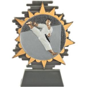 cod. P.AR25.800.21 - Trofeo karate cm 14