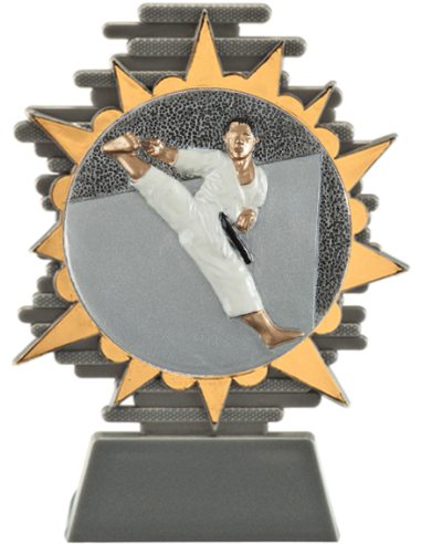 cod. P.AR25.800.21 - Trofeo karate cm 14