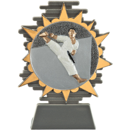 cod. P.AR25.800.21 - Trofeo karate cm 14