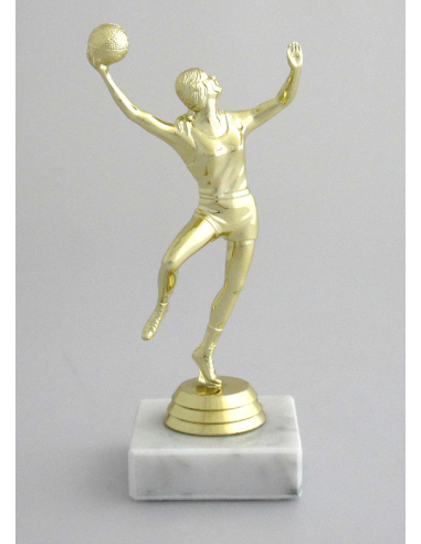 cod. P.BASK09 - Trofeo Basket F. cm 16