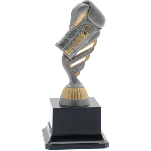 cod. P.BX16.487C - Trofeo boxe pugilato cm 18