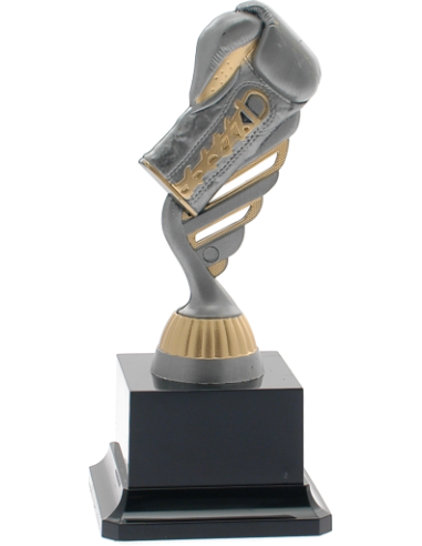 cod. P.BX16.487C - Trofeo boxe pugilato cm 18