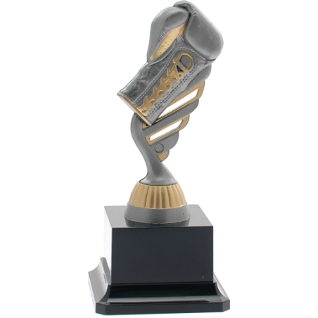 cod. P.BX16.487C - Trofeo boxe pugilato cm 18