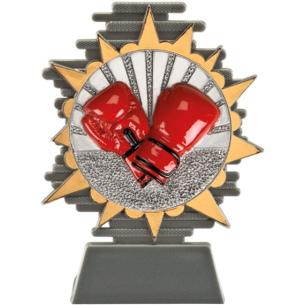 cod. P.BX25.800.31 - Trofeo box pugilato cm 14