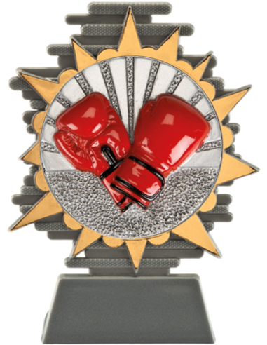 cod. P.BX25.800.31 - Trofeo box pugilato cm 14