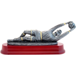cod. P.CAL15.316 - Trofeo portiere cm 30x12