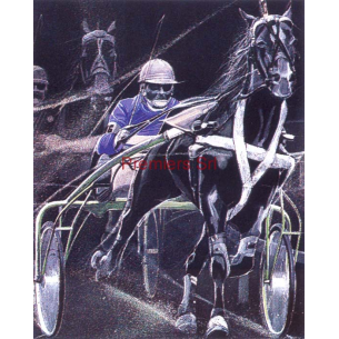 cod. P.CAV08 - Cornice con Poster Cavallo trotto 24x18