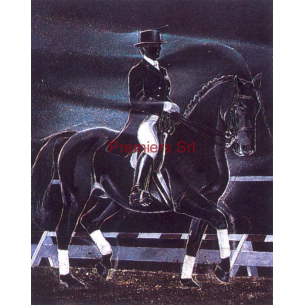 cod. P.CAV10 - Cornice con Poster Cavallo 24x18